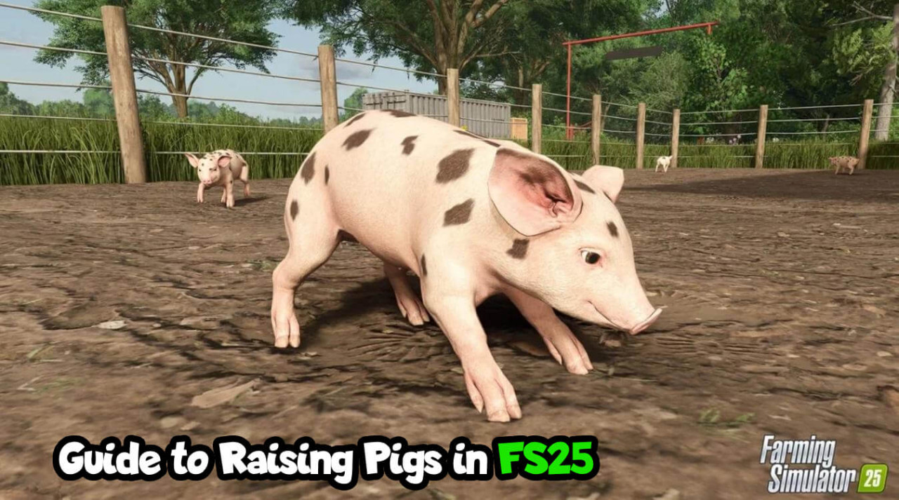 How to Raise Pigs in Farming Simulator 25?